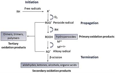 Study of the oxidative stability via Oxitest and Rancimat of phenolic-rich olive oils obtained by a sequential process of dehydration, expeller and supercritical CO2 extractions